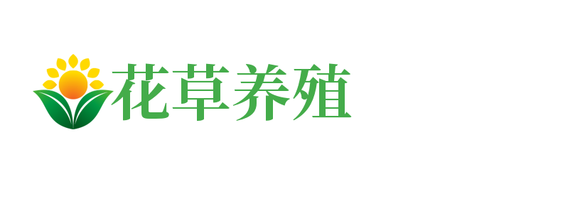 97开元游戏大厅下载(中国)有限公司官网